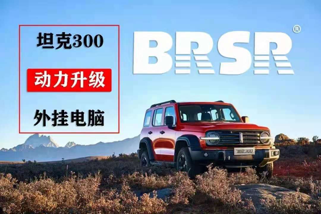 坦克300专属BRSR外挂电脑